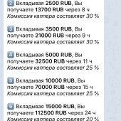 Жалоба на Capinvestbot фото 1