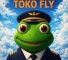 Канал Telegram Toko_Fly – отзывы о Филле @Fill_Flyy