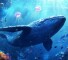 Бот Telegram Tap Whale (Коснитесь Кита) – реальные отзывы