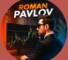 Канал Telegram Roman Pavlov @romanpavl0v – реальные отзывы