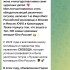 Жалоба на Проект «Новая Надежда» фото 1