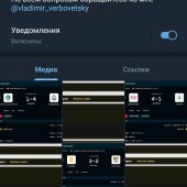 Жалоба на Vladimir Verbovetsky/ Договорные матчи|Инсайдерская инфо3 фото 1