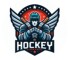Канал Telegram Hockey Player s Blog – отзывы о Романе Гурине @roman_guro