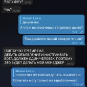 Жалоба на Meison Lewis/ Олег Сульянов фото 13