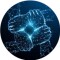 Кана Telegram Four Towers – отзывы о Сергее Первак и Антоне Невзорове