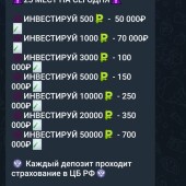 Жалоба на Доход без стресса ( Елизавета) фото 1