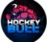 Канал Telegram HockeyBULL – реальные отзывы о ставках