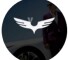 Канал Telegram Ruslan Sokolov: описание, статистика и отзывы