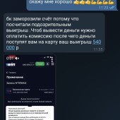 Жалоба на Воробьев 100% Экспрессы фото 15
