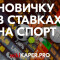 Как новичку научиться делать ставки в плюс? – инструкция для чайников