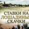 Ставки на лошадиные скачки — виды, стратегии, примеры расчетов