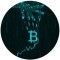 Канал Telegram ShadowFern – реальные отзывы о выплатах