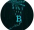 Канал Telegram ShadowFern – реальные отзывы о выплатах