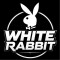 Канал Telegram White Rabbit – отзывы о Карине @karina_rabbit