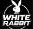 Канал Telegram White Rabbit – отзывы о Карине @karina_rabbit