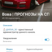 Жалоба на Вова Прогнозы на спорт фото 1