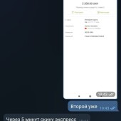 Жалоба на Воробьев 100% Экспрессы фото 11
