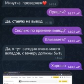 Жалоба на Доход без стресса ( Елизавета) фото 4