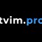 Обзор канала Telegram Katya | WinVip (Twim pro) – реальные отзывы клиентов о компании