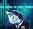 Обзор канала Telegram The Shark of Wall Street – реальные отзывы клиентов 