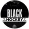Канал Telegram Black Hockey: обзор, ставки, статистика и отзывы