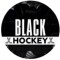 Канал Telegram Black Hockey: обзор, ставки, статистика и отзывы