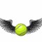 Обзор канала Telegram Tennis Wings – реальные отзывы о Юрии Крылове @krylovtennis