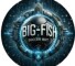 Канал Telegram BIG_FISH (Soccer Bot) – реальные отзывы
