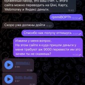 Жалоба на Евгений Васильев / Dreambet фото 5