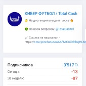 Жалоба на КИБЕР ФУТБОЛ / Total Cash Алексей Викторович В. фото 3