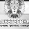 Обзор канала Telegram WestScore @wscoremngr – отзывы о ставках