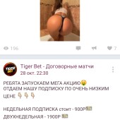 Жалоба на Tiger bet, leobet, lev24 фото 8