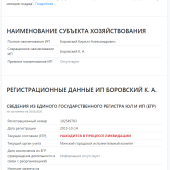 Жалоба на Боровский Кирилл Александрович отзыв ganntradings.com фото 2