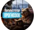 Канал Telegram Профессор прогнозов – отзывы о Михаиле Прогнозове @CareerBear