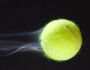 Обзор канала Telegram Tennis Coach – отзывы о ставках на теннис