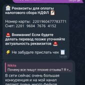Жалоба на Доход без стресса ( Елизавета) фото 3