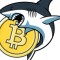 Обзор канала Telegram Shark in Crypto – реальные отзывы клиентов