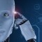 BOT STATS — честные отзывы о проекте, описание работы Бот статс
