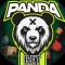 Обзор канала Telegram Panda Bet – отзывы о ставках на спорт