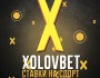 Обзор проекта XolovBet | Прогнозы на спорт – отзывы о ставках от Никиты Холова