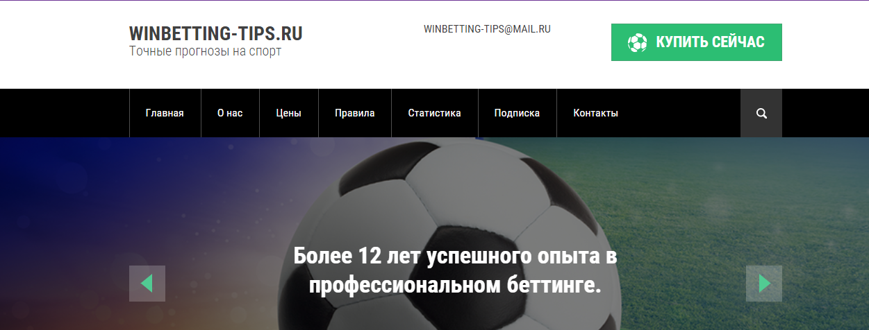 Внешний вид сайта winbetting-tips.ru