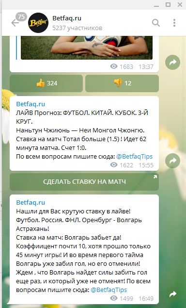 Телеграм канал сайта betfaq.ru