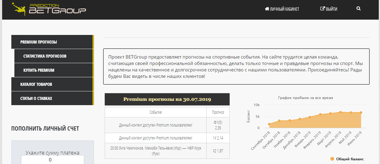 Внешний вид сайта betgroup.ru