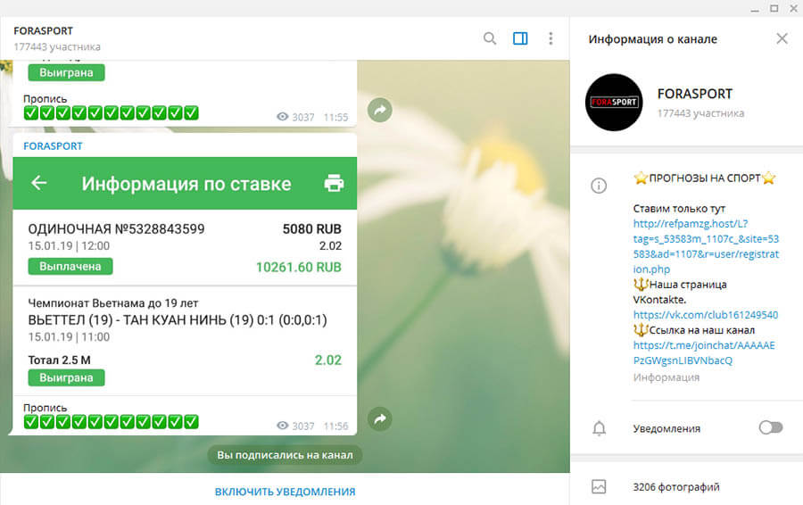 группы на спорт ставки отзывы группы на спорт ставки отзывы
