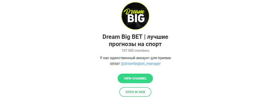 Внешний вид Dream Big Bet - прогнозы в телеграм