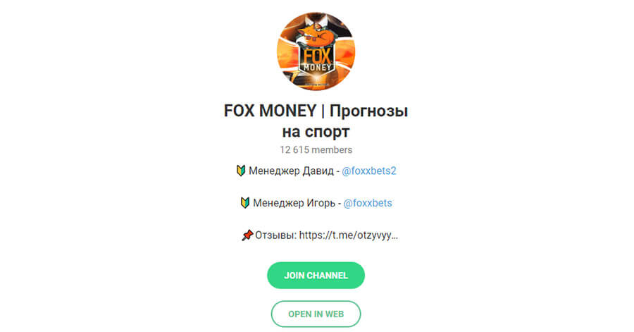 Внешний вид телеграм канала Fox Money