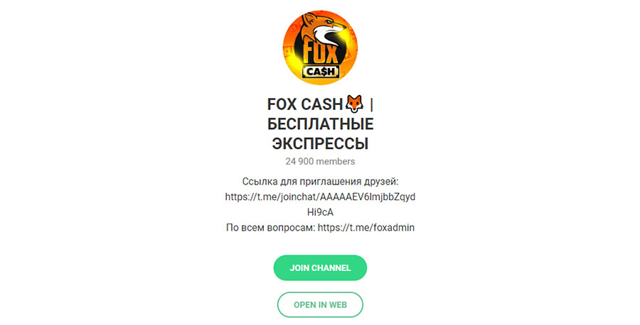 Внешний вид телеграм канала Fox Cash