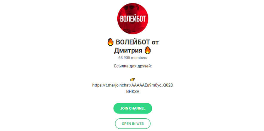 Внешний вид телеграм канала «Волейбот от Дмитрия»