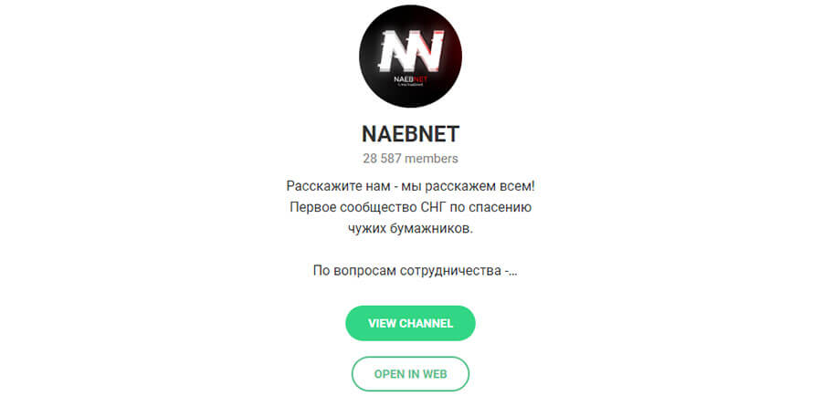 Внешний вид телеграм канала Naebnet