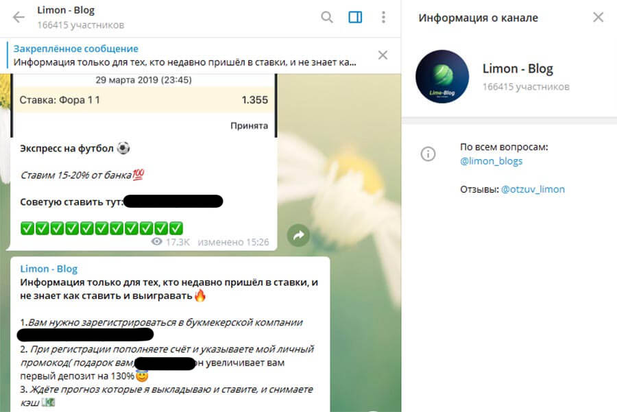 Внешний вид телеграм канала Limon - Blog